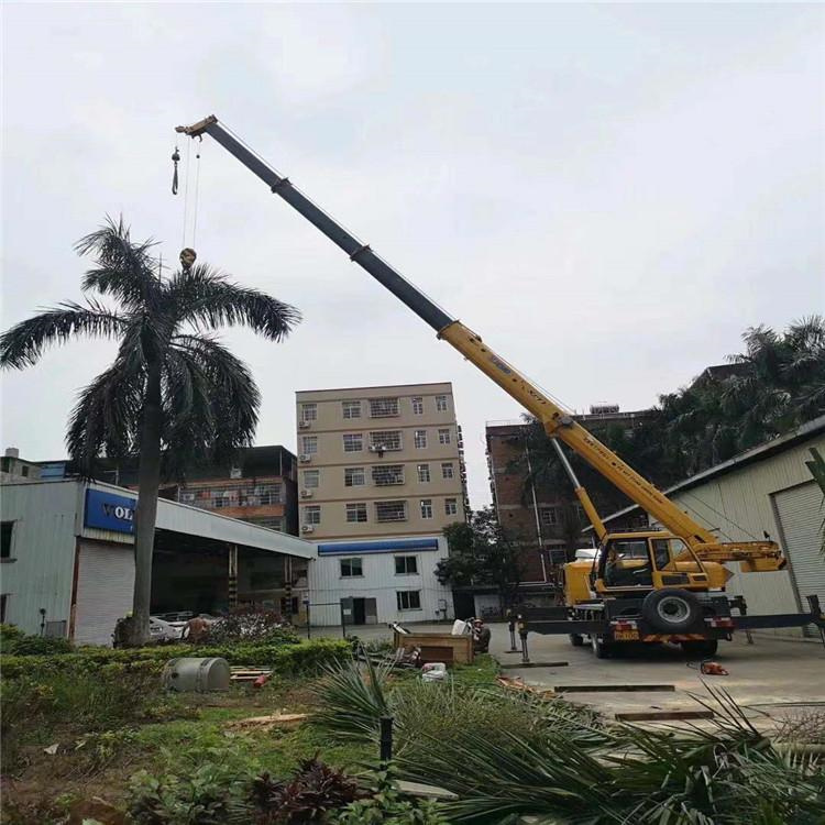 凤岗镇汽车吊出租多少钱？全面解析与市场行情